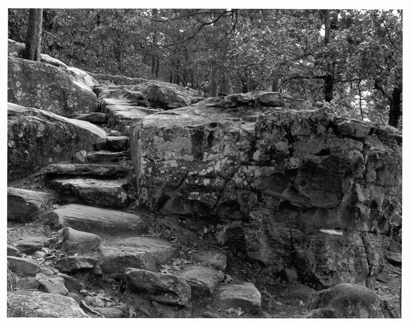 Robberscave002