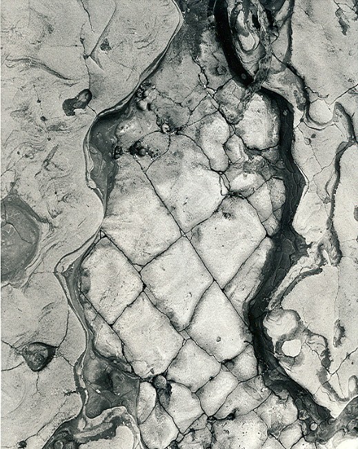 Rock Abstraction 2 at Point Lobos