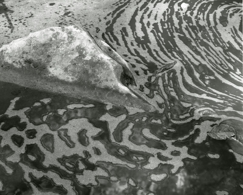 Rock and Foam