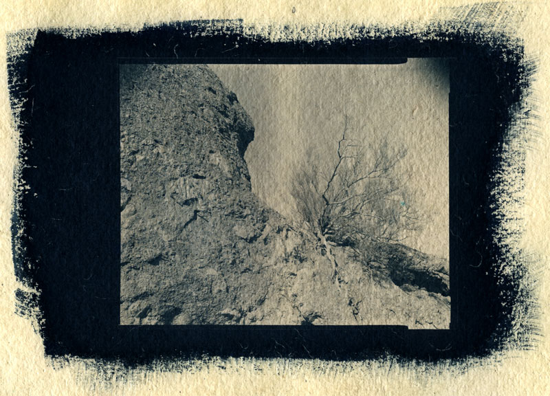 Rock and Shrub