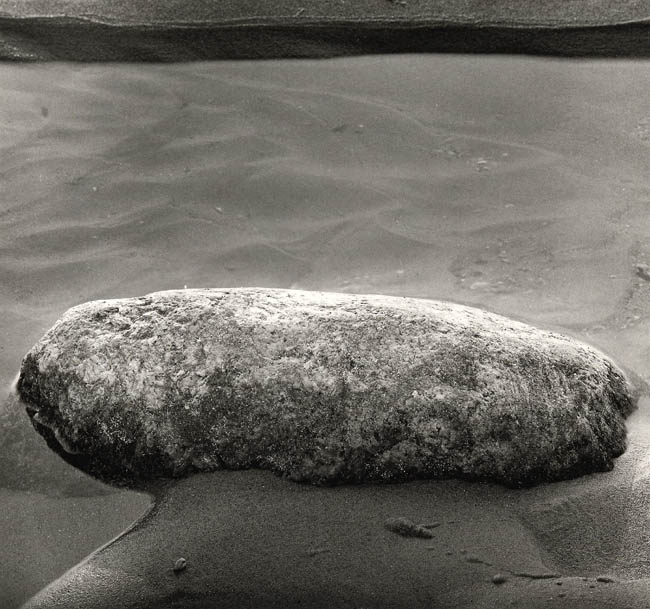 Rock by Estuary, Northern Michigan