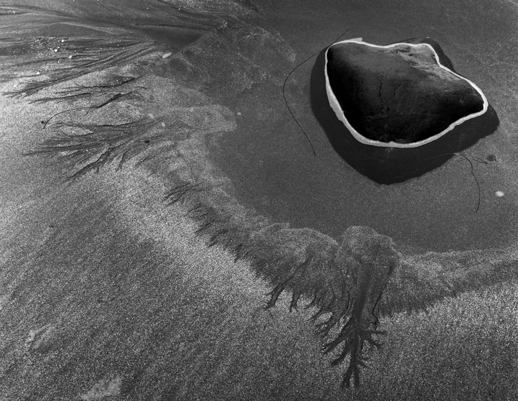 Rock, Circled by Foam