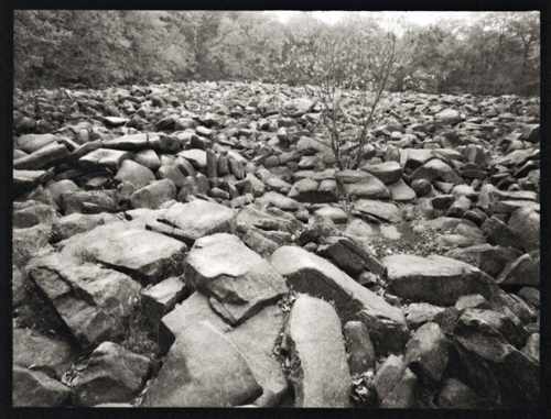 Rock Field