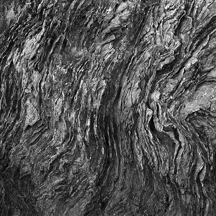 Rock Formation, Wellington Harbour