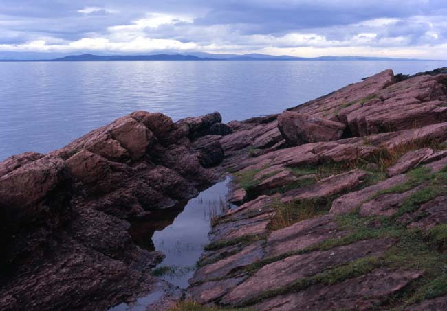 Rock Pool, Arran