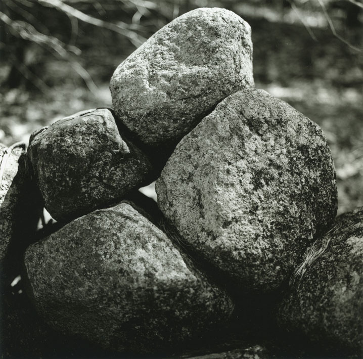 Rock wall detail 1