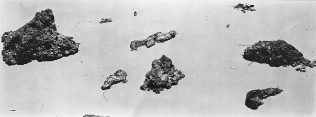 Rocks #1