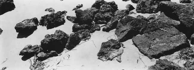 Rocks #2