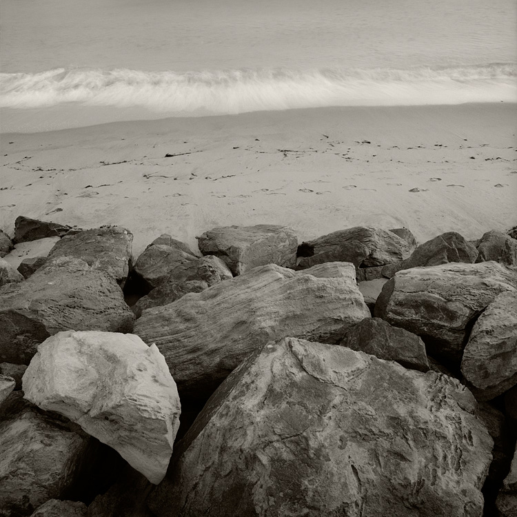 Rocks And Shore, San Francisco