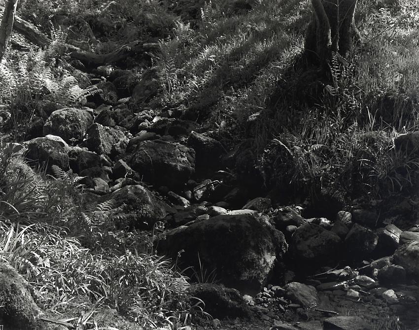rocks and stream