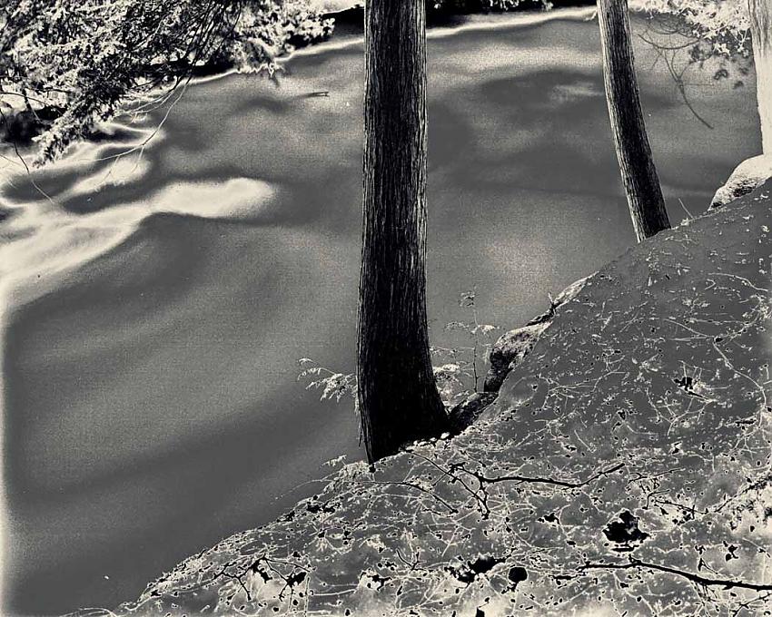 Rocks and Trees
