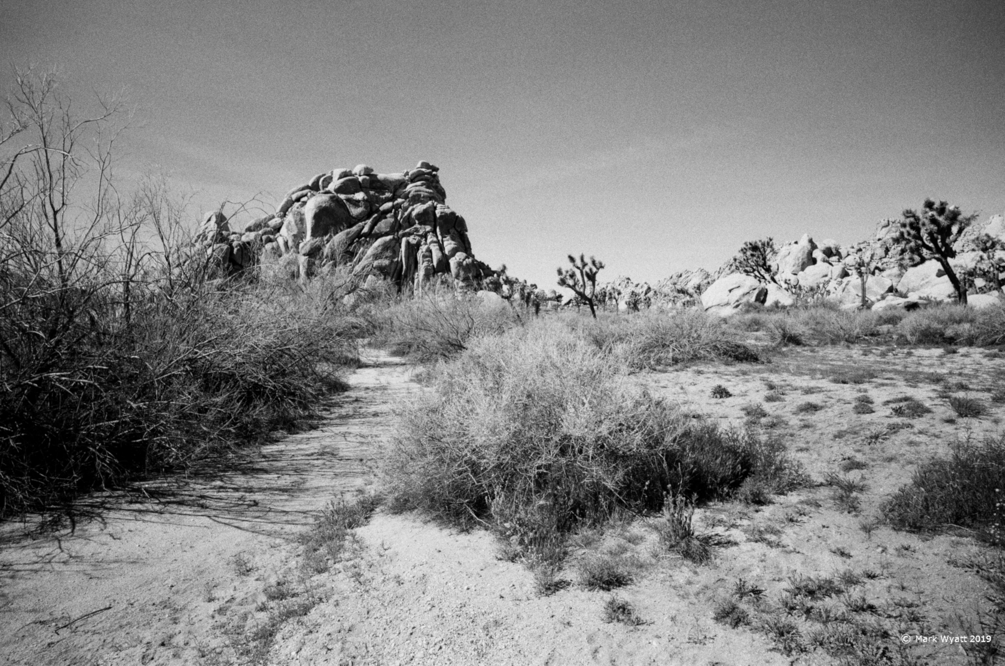 Rocks In Distance