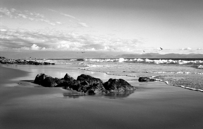 Rocks & Surf
