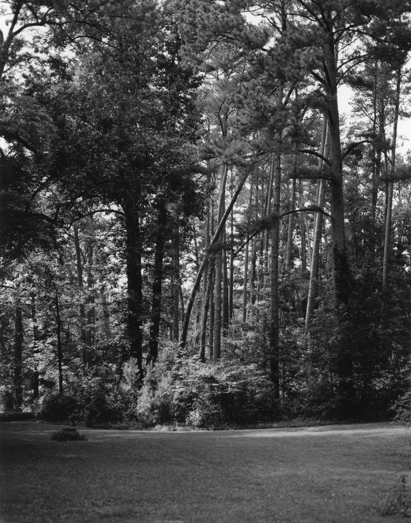 Rockwood Park-3