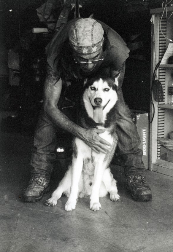 Rocky and Rambo