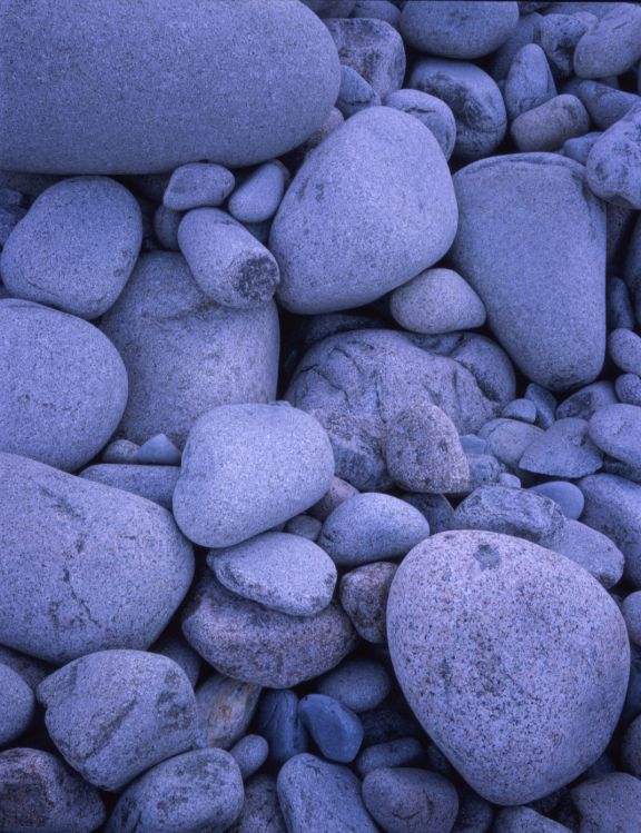 Rocky shore