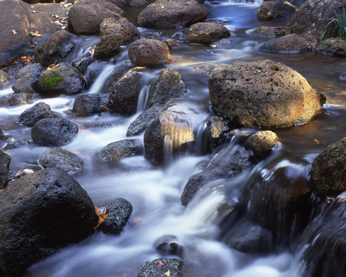rocky stream