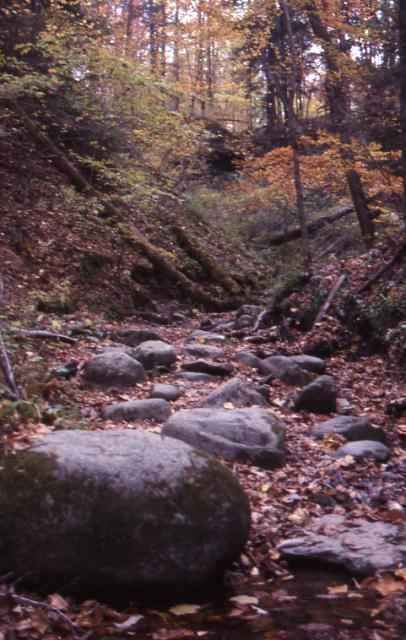 Rocky Streambed