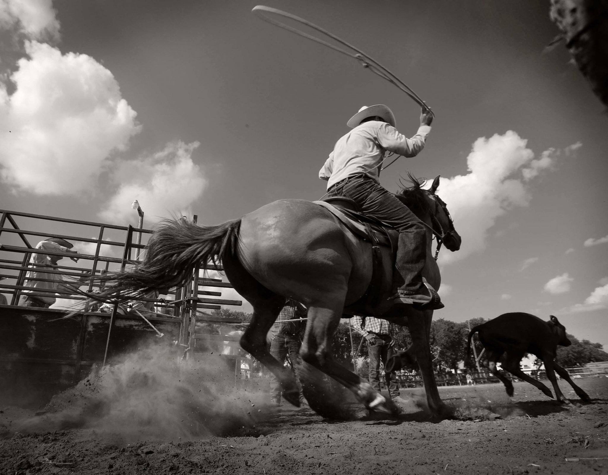Rodeo