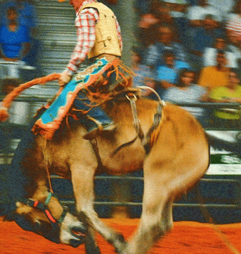 Rodeo1