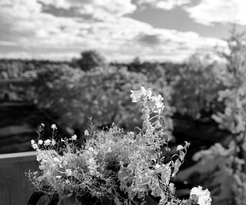 Rollei IR 400 @ 25