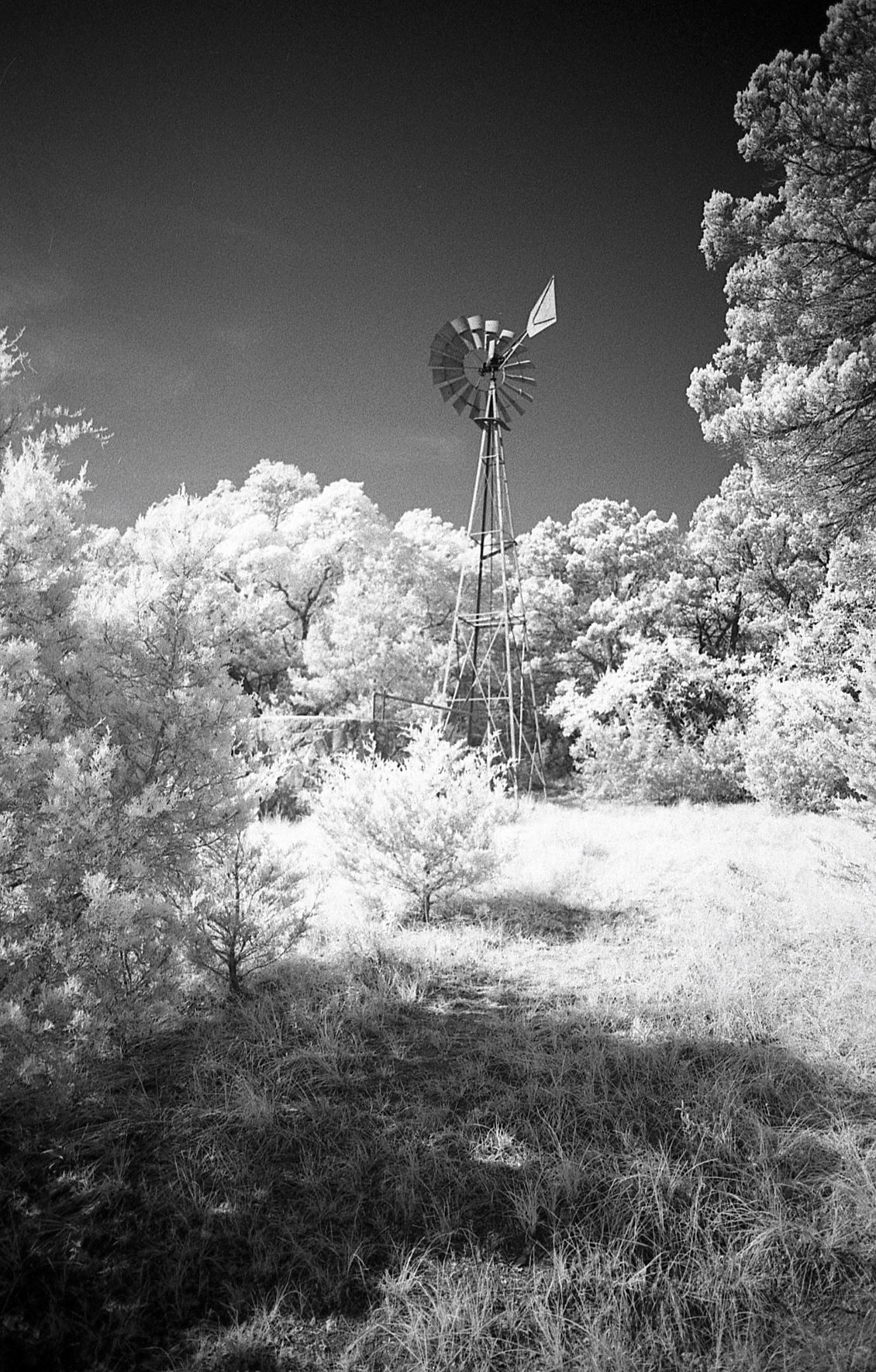 Rollei IR 400 With #87 Tiffen Filter Test