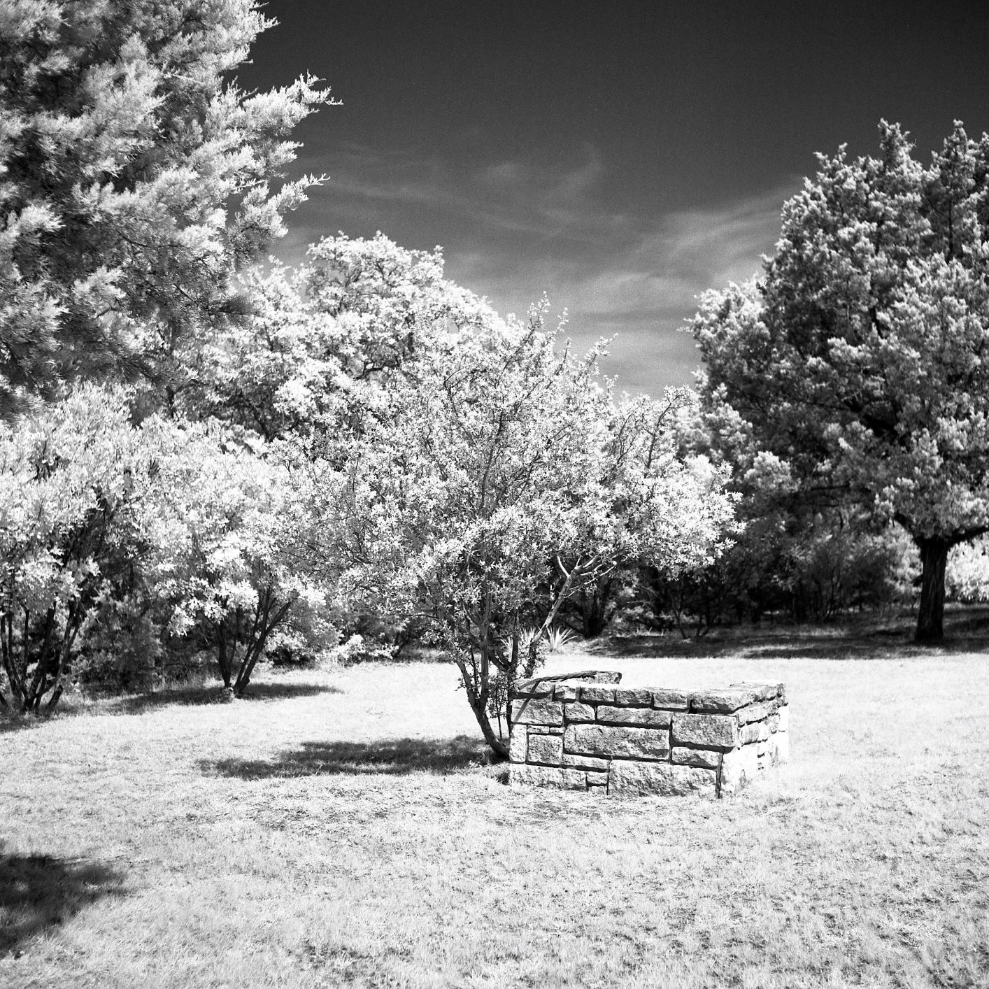 Rollei IR 400 With Tiffen #87 Filter Test #2