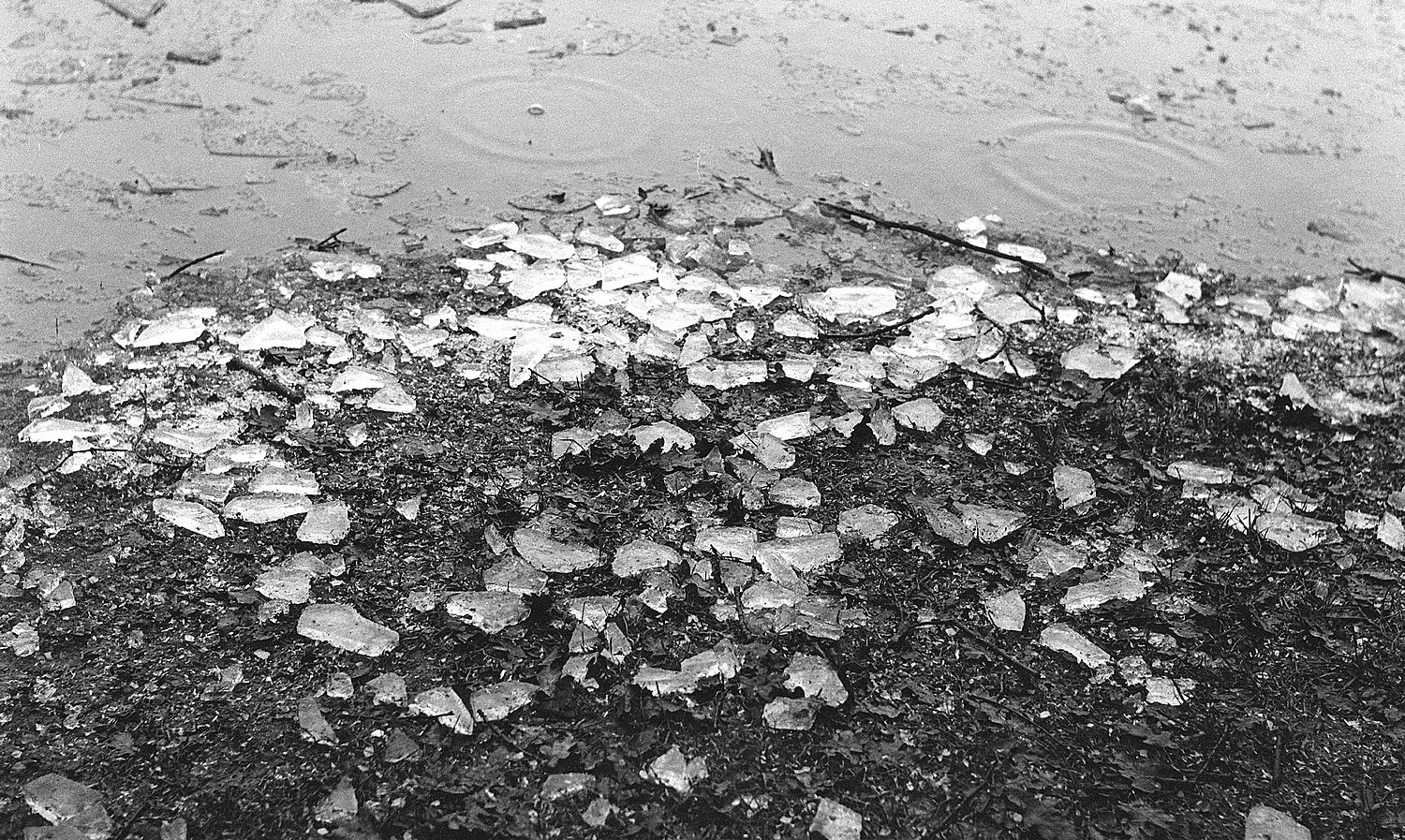 Rollei T Neopan 400 ICE
