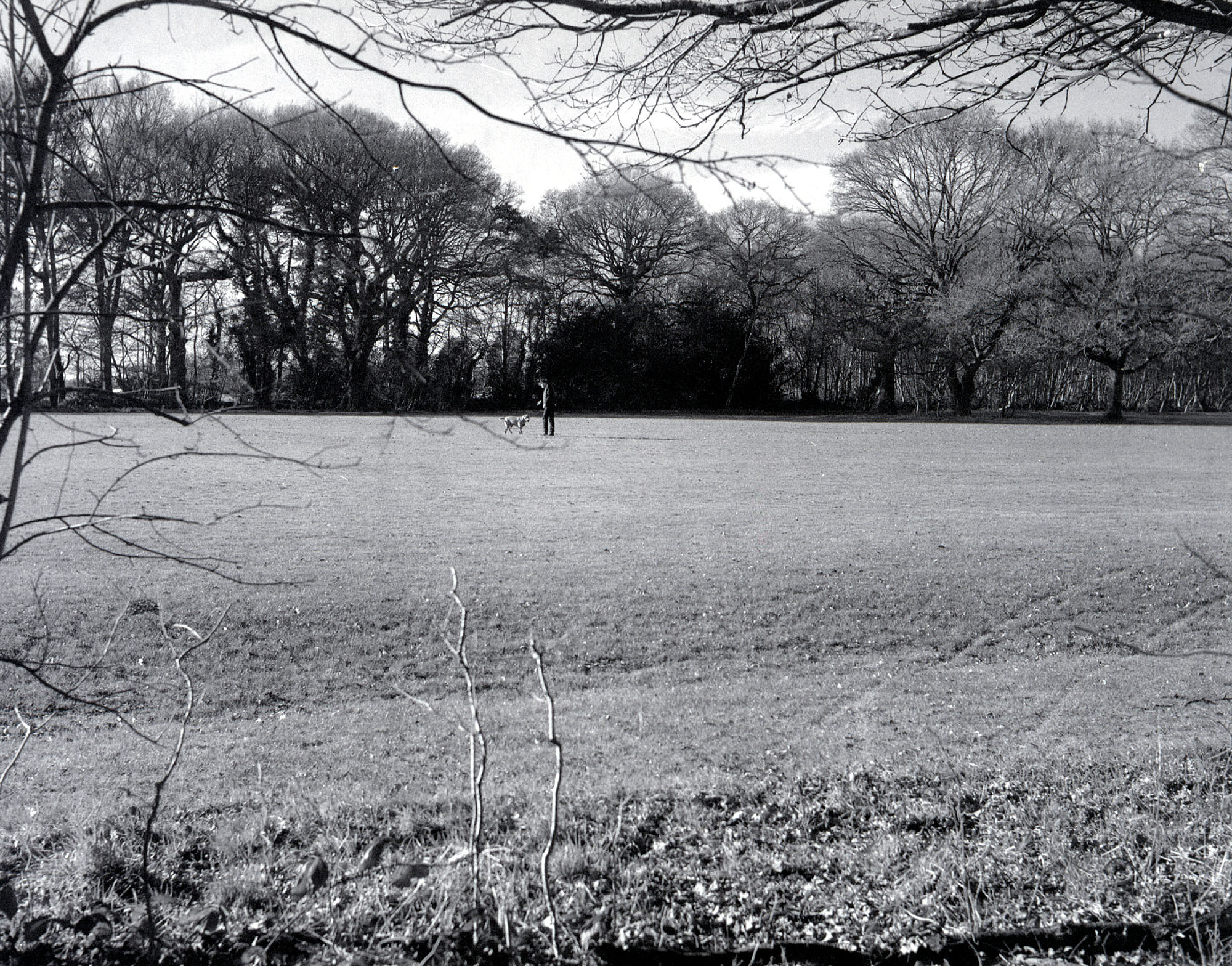 Rollei T with 510-Pro Test 03