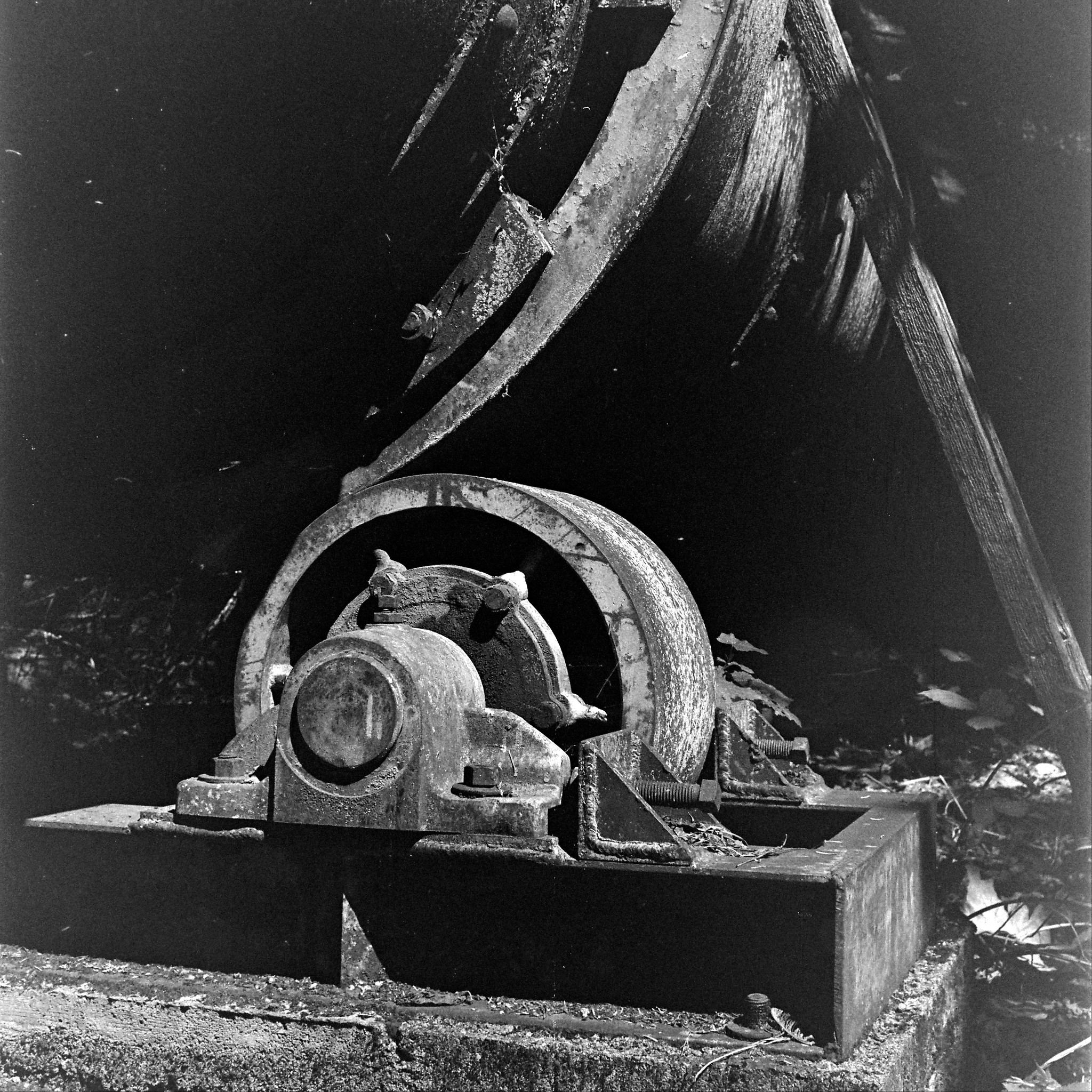 Roller Bearing
