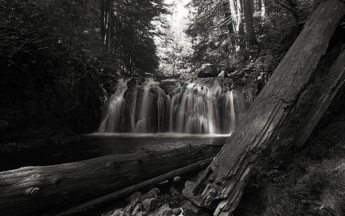 Rolley Falls - Logs