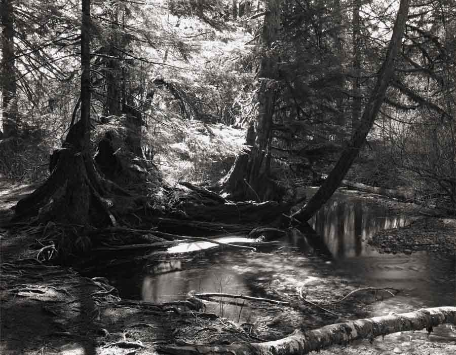 Rolley Lake-Sunshine
