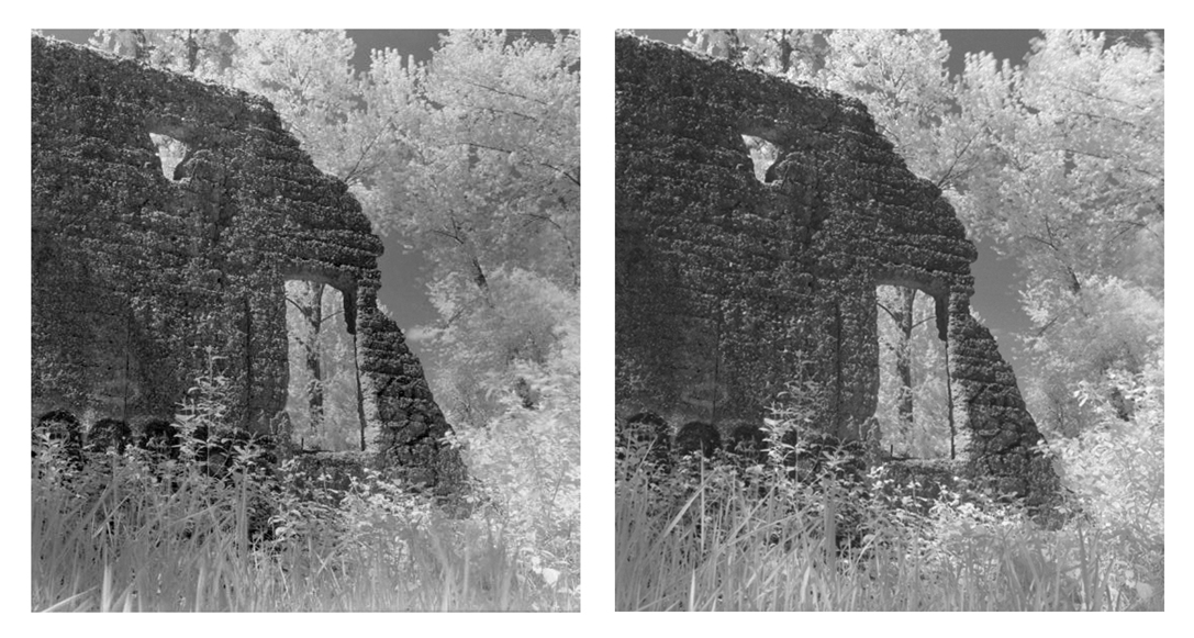 Rollie IR & JCH Street Pan Comparison