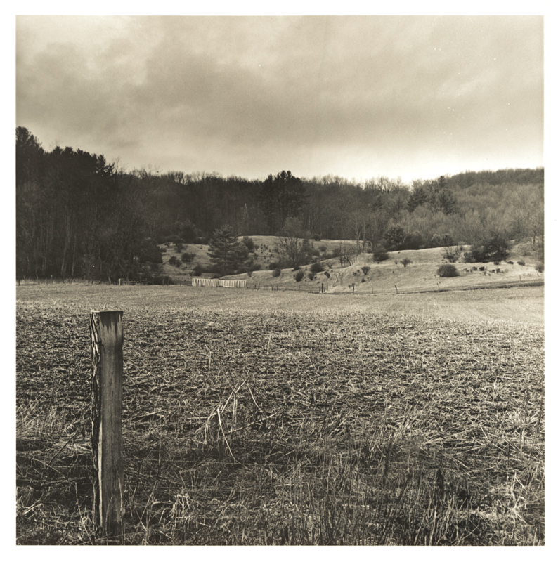 Rolling Pastures & Untilled Field