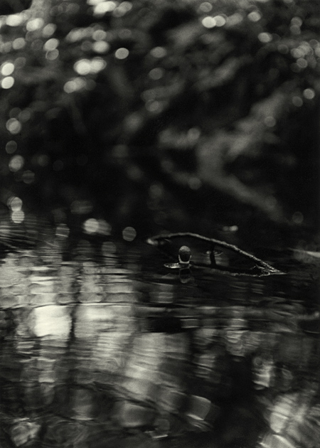 Romantic Wanderer Series #16 - Drowning