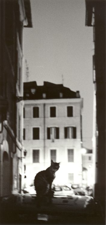 Rome, Sept 2001