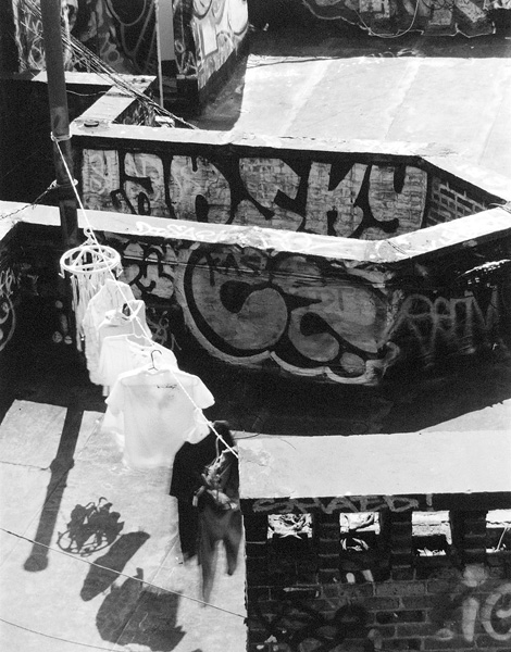 Roof Top Graffiti