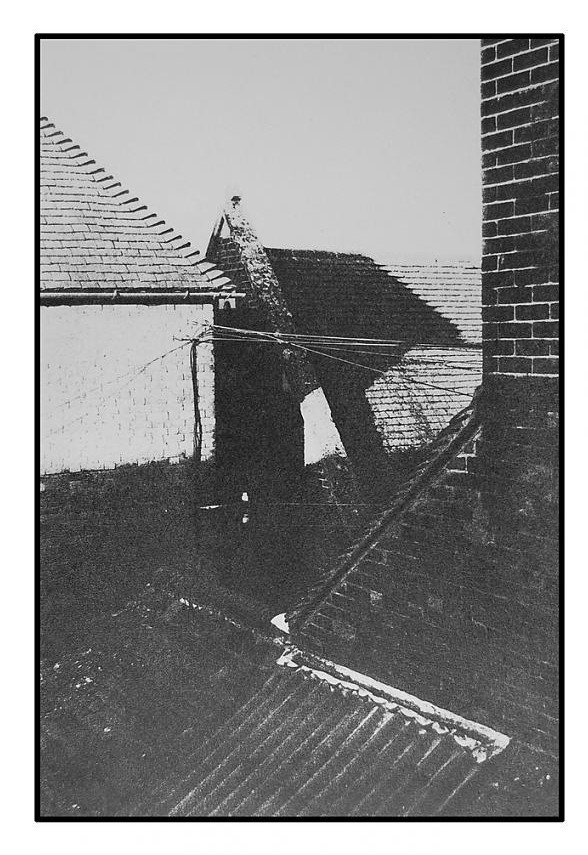 rooflines