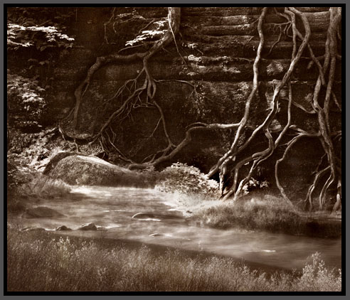 Roots and Stream
