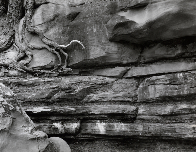 Roots, Sandstone