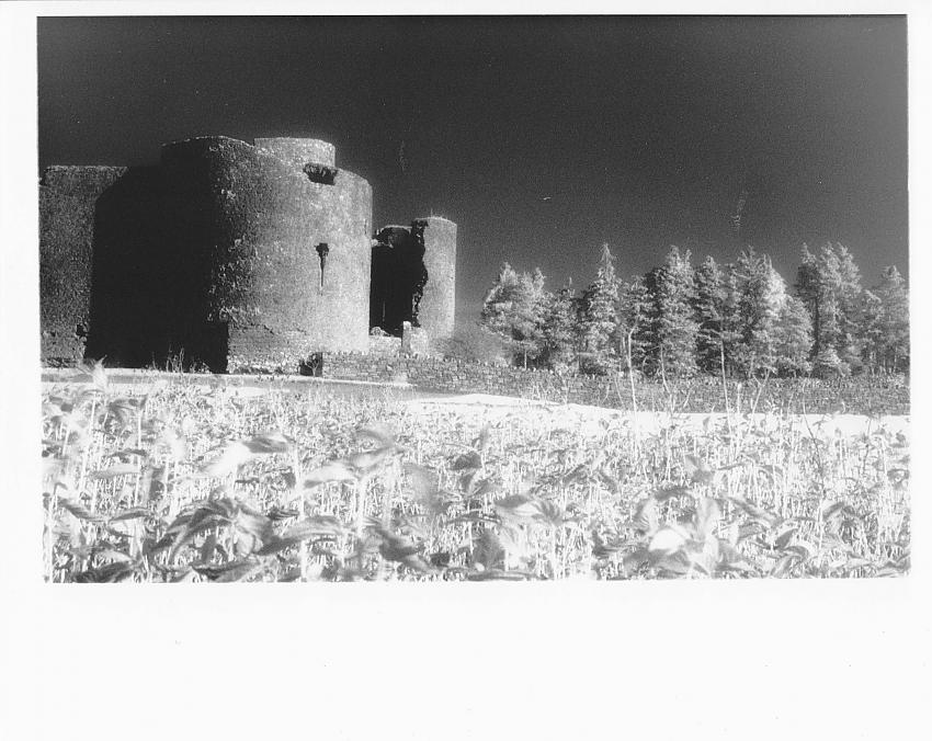 Roscommon Castle
