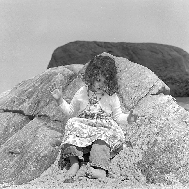 Rose and Rocks