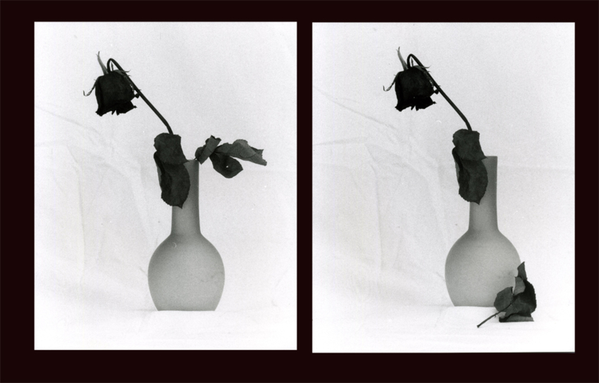 Rose Diptych