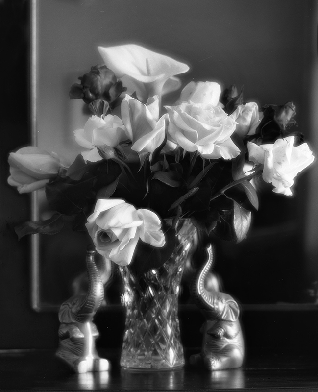 Roses and Elephants.