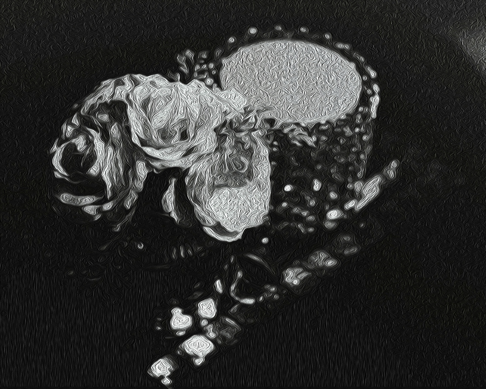 Roses & Candle