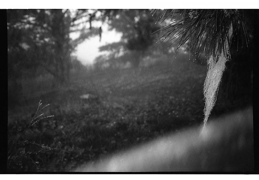 Round 9 - Leica; by edibot42