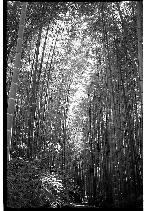 Round 9 - Leica; by mooseontheloose