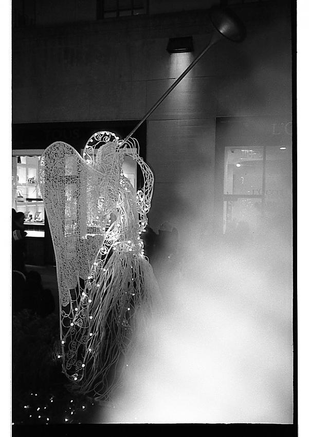 Round 9 - Leica; Frame 2