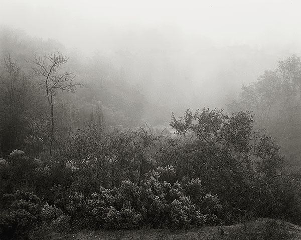 Route 128 - Napa County, CA  2004