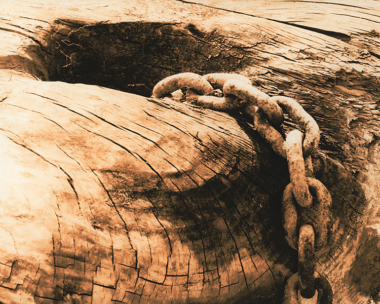 Rudder Study